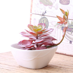 High simulation fleshy flower with small potted plants and alpine snow lotus bud set office decoration flower room Pot culture of Saussurea involucrata