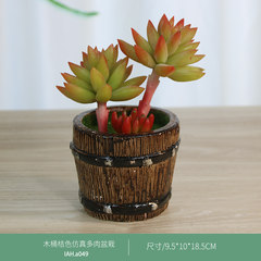 Simulation of indoor decorative flower plants succulents living room furnishings Home Furnishing flowers potted flower creative decoration 049 orange potted succulents simulation