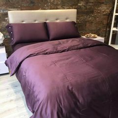 European-style plain simple cotton bed set with four pieces and 60 pieces of long wool bed set with pure cotton set with cool brilliant violet 1.5m (5 ft) bed