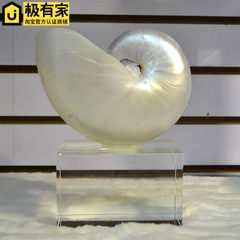 Simple model of modern real business club Home Furnishing soft decoration NATURAL PARROT mother spiral conch ornament