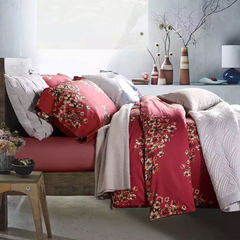American cotton bed four pieces cotton print and embroidery | warm bedclothes Figure four piece color | 1.5m (5 feet) bed