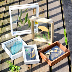 Modern concise plant transparent specimen frame, 7 inch creative double glass pendulum table decoration frame, photo frame specimen frame Square 6 inches
