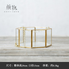 No golden glass sold succulents flower pot creative glass ornaments photography props Star anise shallow box box (gold)