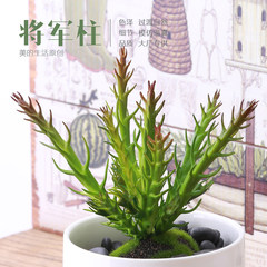 General column high simulation succulents small potted flower leaves DIY false combination frame wall hanging decoration