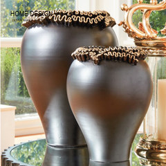 HOME DESIGN/ Home Furnishing design / golden curve black ceramic vase / Jewelry / flower Home Furnishing