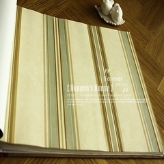 New American classical Shutiao pure paper wallpaper for the living room / bedroom