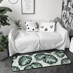 Nordic simple plant padded into the door, kitchen bedroom bedside mat, machine washable skid proof 50*170cm