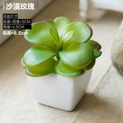 Life simulation of plant flowers potted bonsai fleshy meat mini plastic flowers square ceramic ornaments A. desert rose
