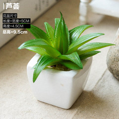 Life simulation of plant flowers potted bonsai fleshy meat mini plastic flowers square ceramic ornaments Aloe Vera B.