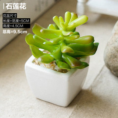 Life simulation of plant flowers potted bonsai fleshy meat mini plastic flowers square ceramic ornaments C. stone lotus