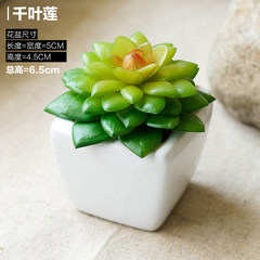 Life simulation of plant flowers potted bonsai fleshy meat mini plastic flowers square ceramic ornaments D. Chiba lotus