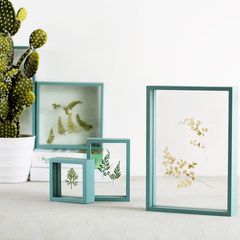 Love all home Nordic picture frame, can hang wall, creative feather dried flowers, plant leaf specimen folder embossing device 30*40cm Ice blue (excluding frame plant)