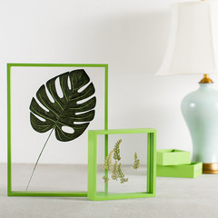 Love all home Nordic picture frame, can hang wall, creative feather dried flowers, plant leaf specimen folder embossing device 30*40cm Lemon green (without frame plants)