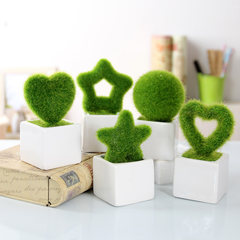 Small potted mini plant pot simulation eye Zakka flowers flower ornaments Home Furnishing creative gift 5 sets