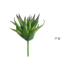Sicilian simulation of the succulent plant guanyin lotus gemstone cactus lotus green plant pot carrying aloe