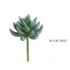 Sicilian simulation of succulent plants guanyin lotus gemstone cactus lotus lotus green plant basin with fairy fingers [green]