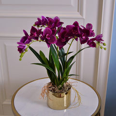 The purple Golden Vase of Phalaenopsis flower simulation of high-grade villa model room decoration flowers set Purple butterfly orchid + vase (set)