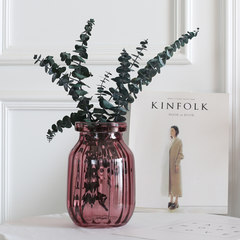现代简约 收口透明玻璃花瓶 家居装饰插花瓶水培花器玻璃器皿三色 三色竖纹花瓶—紫红色
