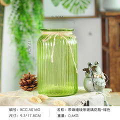 The living room decoration decoration simple flower flower Home Furnishing transparent glass vase small fresh water culture container (green belt rope)