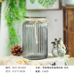 The living room decoration decoration simple flower flower Home Furnishing transparent glass vase small fresh water culture container Grey (with rope)