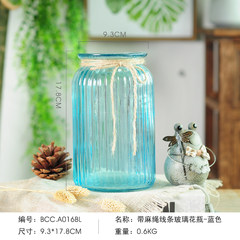 The living room decoration decoration simple flower flower Home Furnishing transparent glass vase small fresh water culture container Blue (with rope)