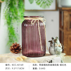 The living room decoration decoration simple flower flower Home Furnishing transparent glass vase small fresh water culture container (purple belt rope)