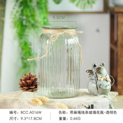 The living room decoration decoration simple flower flower Home Furnishing transparent glass vase small fresh water culture container Transparent (with rope)