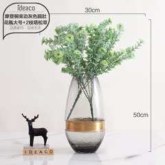 Just want to Nordic glass vase vase creative copper ring flower hydroponic floral arrangement table decoration decoration room Copper beam edge round belly Vase - size +2 Songcao Tower Branch