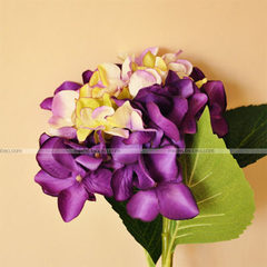 MEMA special watery charming Hydrangea Hydrangea flowers and simulation F244 Charming purple