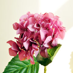 MEMA special watery charming Hydrangea Hydrangea flowers and simulation F244 Colourful Pink