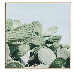 Nordic style simple plants Mexico cactus group decorative painting painting painting the living room became head ornaments 30*40 Simple white clean frame B Oil film laminating + low reflective organic glass