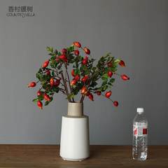 The Nordic modern minimalist decoration living room TV cabinet table table model plain ceramic vase M +5 red fruit season