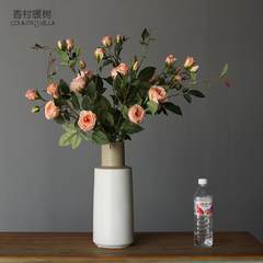 The Nordic modern minimalist decoration living room TV cabinet table table model plain ceramic vase Large +5 champagne rose