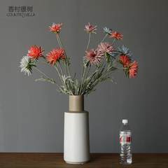 The Nordic modern minimalist decoration living room TV cabinet table table model plain ceramic vase Large +5 calliopsis