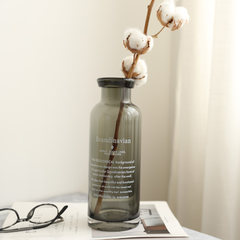 English letter glass vase Japanese minimalist Home Furnishing jewelry ornaments art BOTTLE VASE decorated with grey brown Grey letter vase of large size cigarette