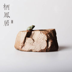 Xifeng in Zen creative handmade ceramic flowerpot vase flower hydroponic fleshy coarse pottery water flower variety Frog