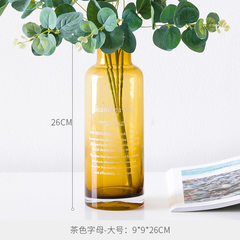In the odd good Nordic ins small vase flower hydroponic wind letter Home Furnishing transparent glass vase Ron Y Brown letter size