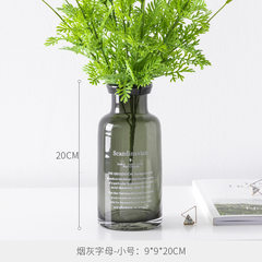 In the odd good Nordic ins small vase flower hydroponic wind letter Home Furnishing transparent glass vase Ron Y Ashtray letter trumpet