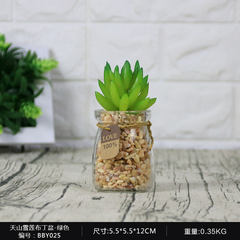 Simulation of plants succulents creative interior decorations Home Furnishing fake pot window decorations flowers ornaments 25 Tianshan snow lotus pudding basin green