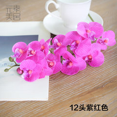 Mercure Phalaenopsis flower feel element simulation table flowers flower decoration big flowers flowers fall Mini 12 purple