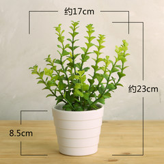 Modern minimalist simulation plants one bar off the living room flower box flower simulation set decoration floral flowers Small potted descendants of royal families