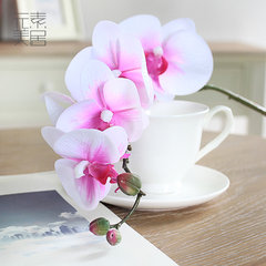 Mercure Phalaenopsis flower feel element simulation table flowers flower decoration big flowers flowers fall 5 pieces of mail