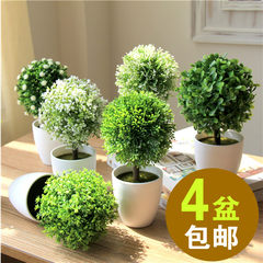 [] is potted bonsai plants have been simulated plant fake trees decorated tree tree decorations Home Furnishing desktop ball head Seven