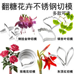 Sugar flower cutting die ginkgo leaf rose Fuchsia Buttercup Amaryllis 5 styles of stainless steel mould buttercup