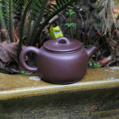 A pot of tea Yixing teapot king Zhengjuan pure purple clay ore genuine handmade teapot famous watts