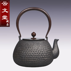 Manual iron pot, iron teapot, kettle, kungfu tea set, oxidation free coating, old iron pot, South iron bottle Single pot packing
