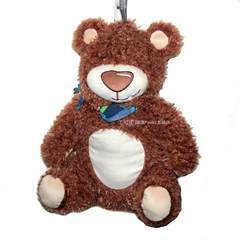 Germany imported FASHY bear doll hot water bag (6539) 2017 new plumbing injection bag