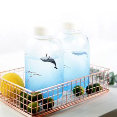 South Korean glass bottle 600ml The sperm whale 600ml glass bottle sending cup cup brush