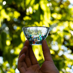 Lewu light cold wine cup, sake cup, Japanese import hand made crystal color glass, small white wine cup F-71241 sake cup