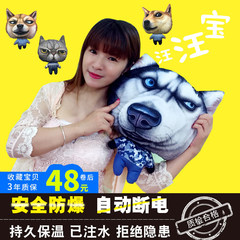 Creative cartoon cat dog hot water bag of electrothermal explosion proof charging hot water bag two GB husky hand warmer What body hot water bag